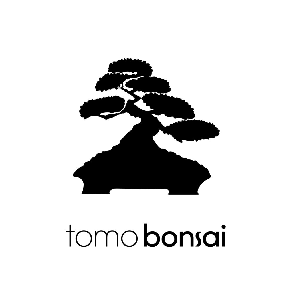 Tomo Bonsai